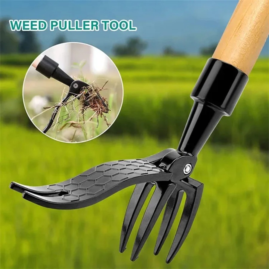 나사 구멍이 있는 휴대용 잡초 제거기, 교체 가능한 제 - Dry Herb Vaping Accessories 리뷰 및 가격